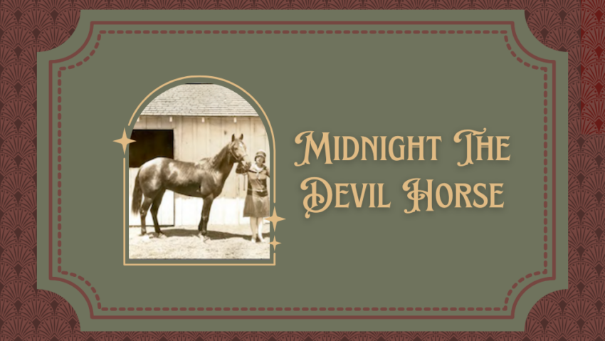 Midnight The Devil Horse