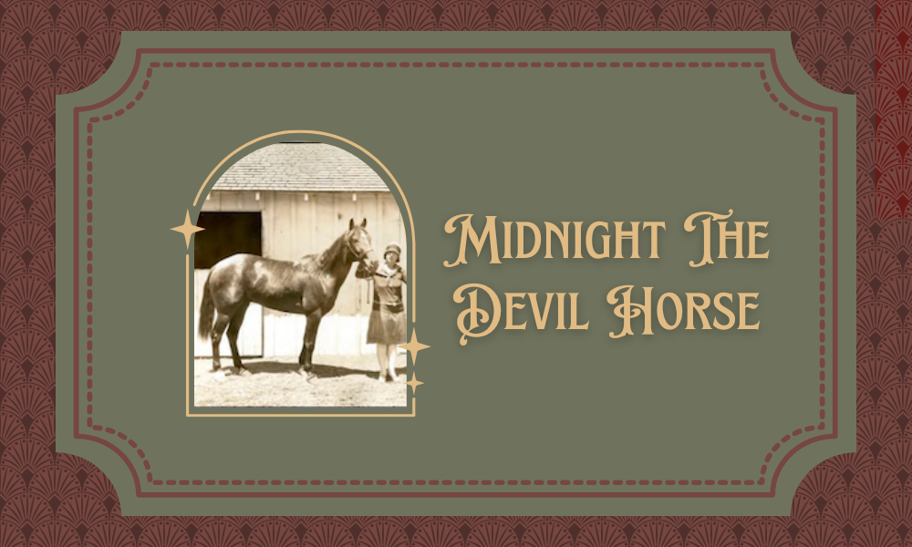Midnight The Devil Horse